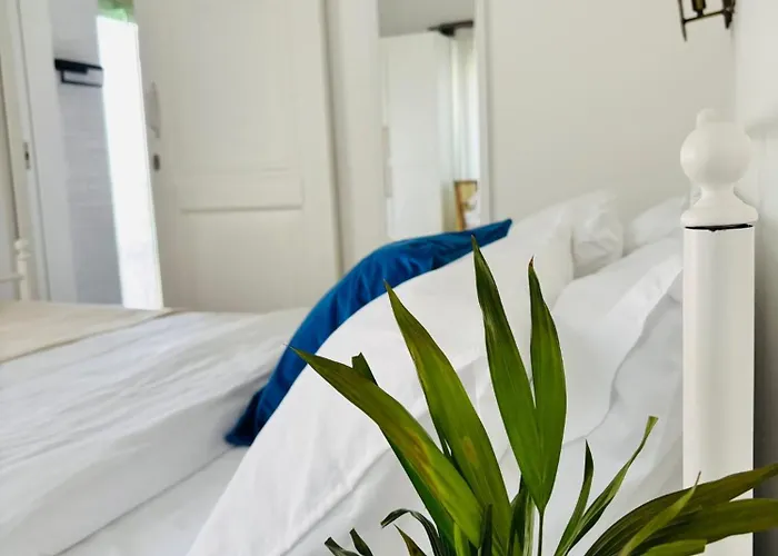 Sadele Hacimemis Homestay Cesme